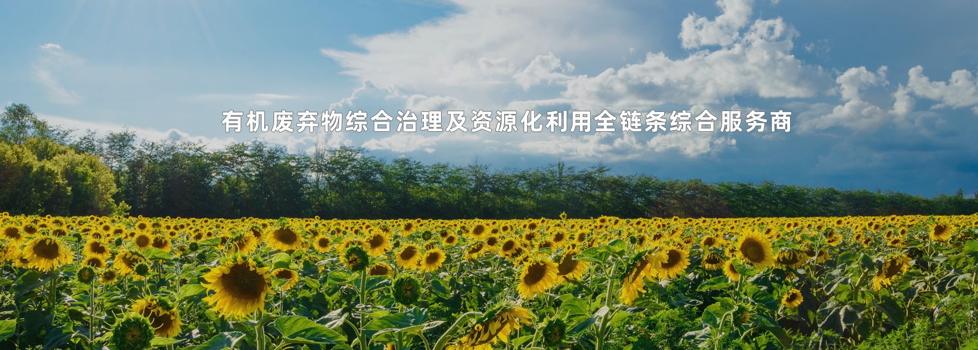 纳米智能膜好氧堆肥系统